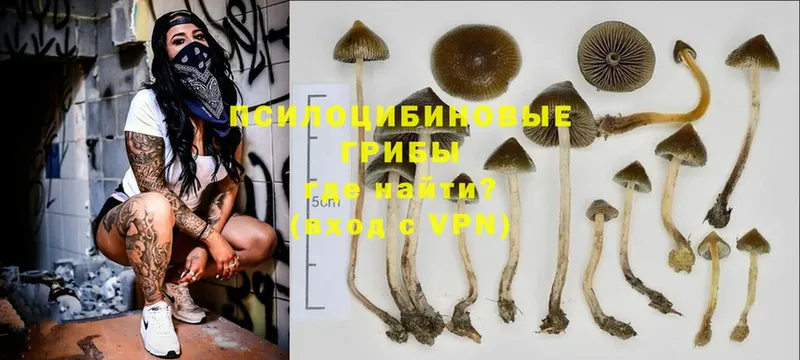 блэк спрут   нарко площадка клад  Псилоцибиновые грибы Psilocybine cubensis  Алатырь 